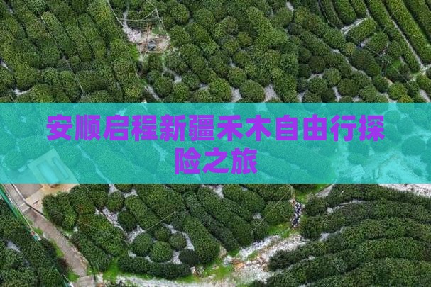 安顺启程新疆禾木自由行探险之旅