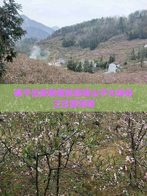 咸宁出发新疆旅游独山子大峡谷三日游攻略