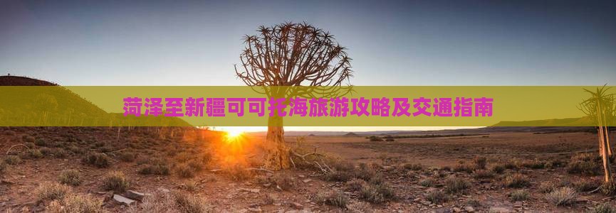 菏泽至新疆可可托海旅游攻略及交通指南