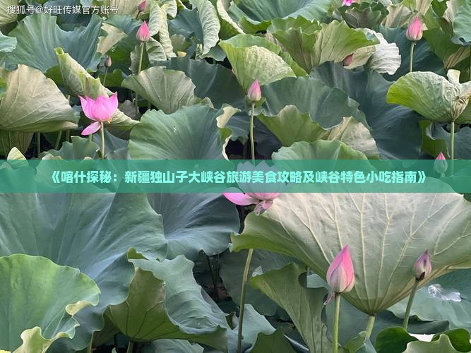 《喀什探秘：新疆独山子大峡谷旅游美食攻略及峡谷特色小吃指南》