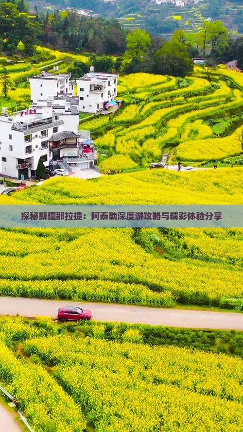 探秘新疆那拉提：阿泰勒深度游攻略与精彩体验分享