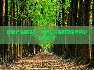 探秘新疆那拉提：阿泰勒深度游攻略与精彩体验分享