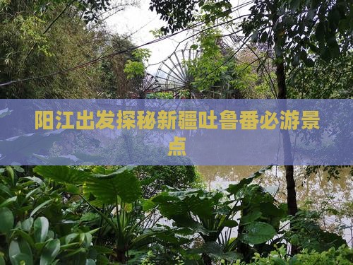 阳江出发探秘新疆吐鲁番必游景点