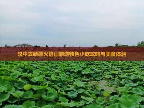 汉中去新疆火焰山旅游特色小吃攻略与美食体验
