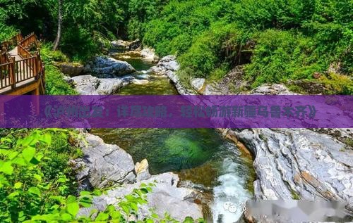 《泸州出发：详尽攻略，轻松畅游新疆乌鲁木齐》