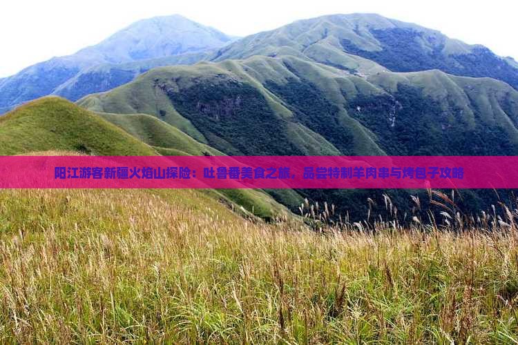 阳江游客新疆火焰山探险：吐鲁番美食之旅，品尝特制羊肉串与烤包子攻略