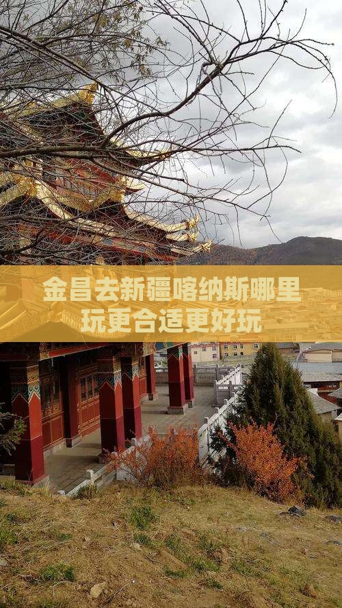 金昌去新疆喀纳斯哪里玩更合适更好玩