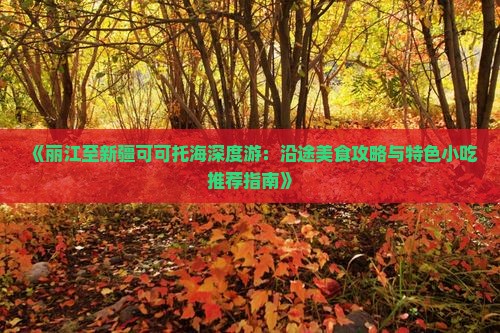《丽江至新疆可可托海深度游：沿途美食攻略与特色小吃推荐指南》