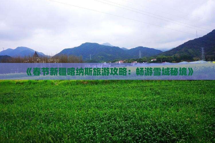 《春节新疆喀纳斯旅游攻略：畅游雪域秘境》