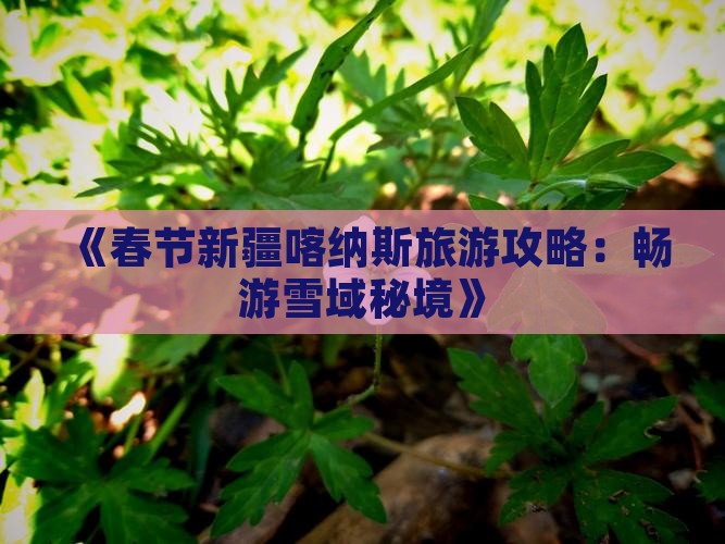 《春节新疆喀纳斯旅游攻略：畅游雪域秘境》