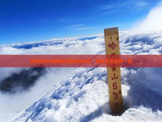固原出发新疆那拉提旅游攻略：哪里景点值得一去
