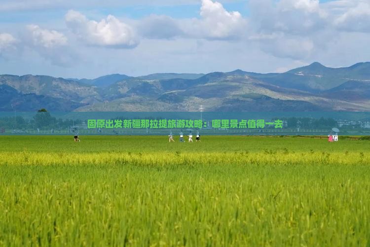 固原出发新疆那拉提旅游攻略：哪里景点值得一去