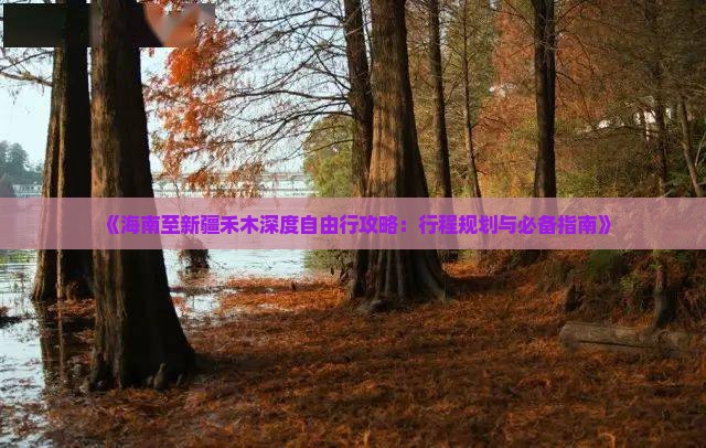《海南至新疆禾木深度自由行攻略：行程规划与必备指南》