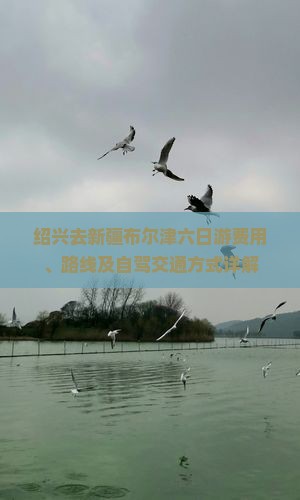 绍兴去新疆布尔津六日游费用、路线及自驾交通方式详解