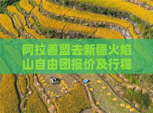 阿拉善盟去新疆火焰山自由团报价及行程费用