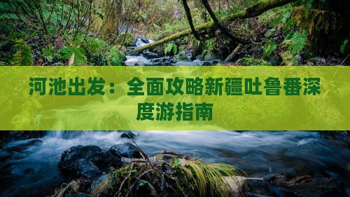 河池出发：全面攻略新疆吐鲁番深度游指南