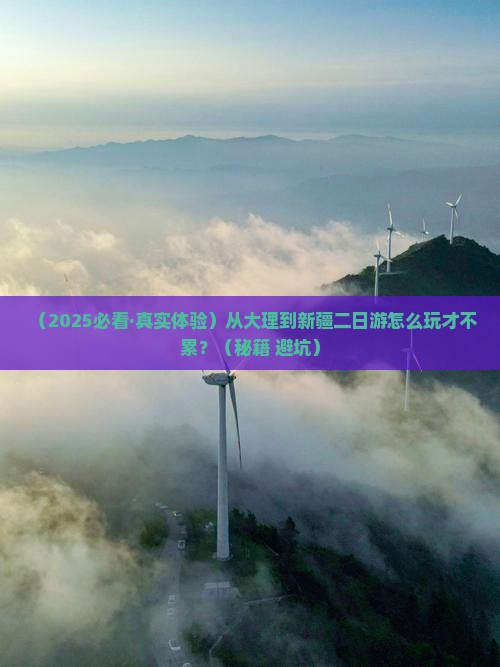 大理到新疆二日游