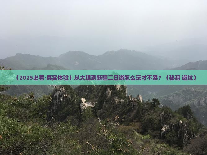 大理到新疆二日游