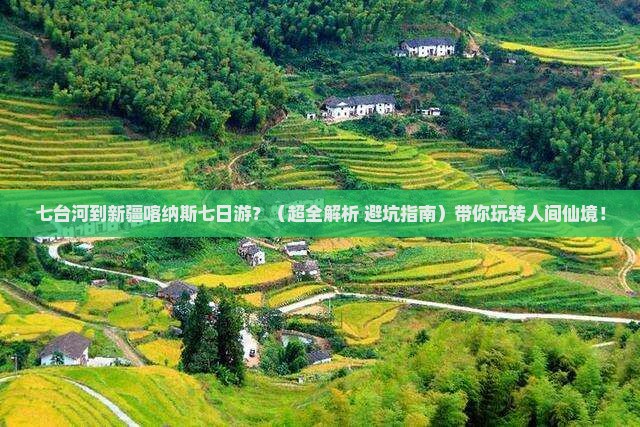 七台河去新疆喀纳斯七日游