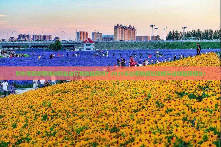 黔东南到新疆喀纳斯自由行