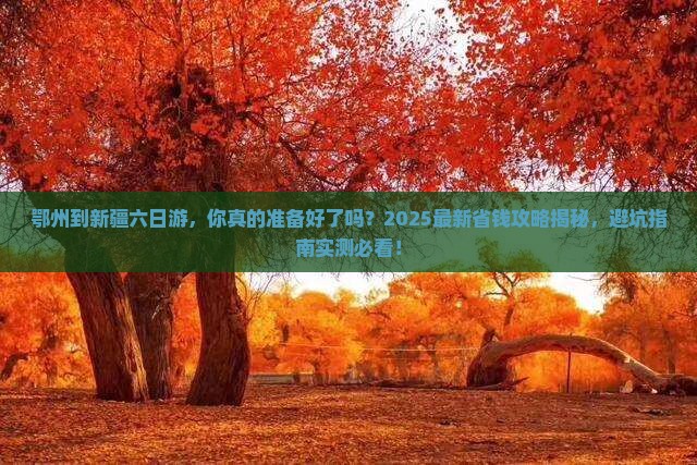 鄂州到新疆六日游
