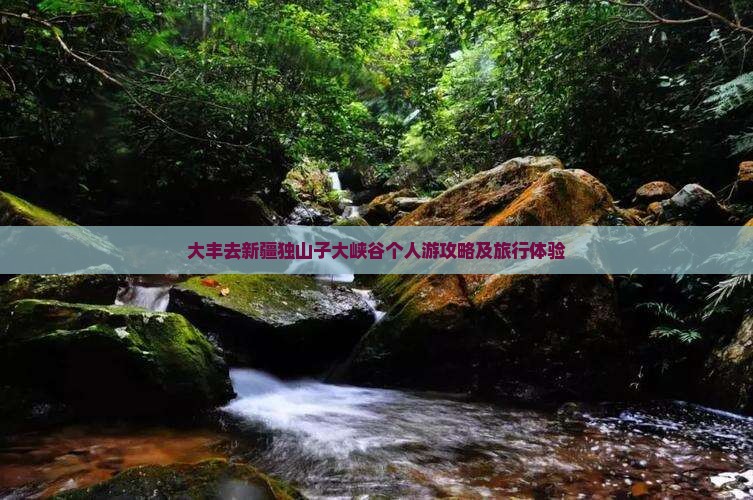 大丰去新疆独山子大峡谷个人游