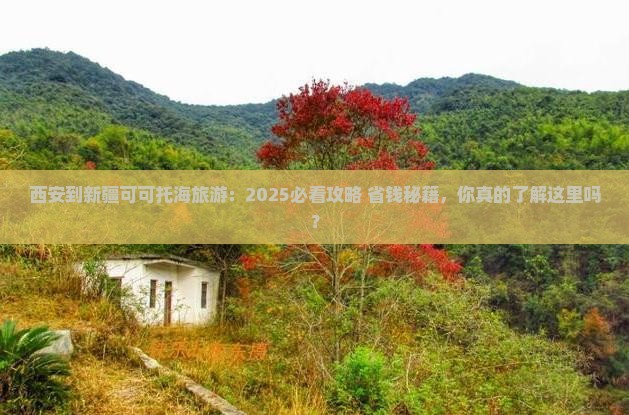 西安到新疆可可托海旅游 西安到新疆可可托海旅游