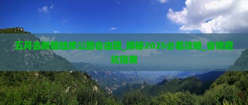 五月去新疆独库公路自由团