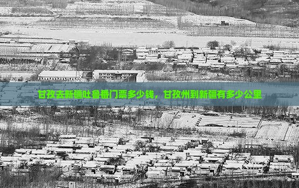 甘孜去新疆吐鲁番门票