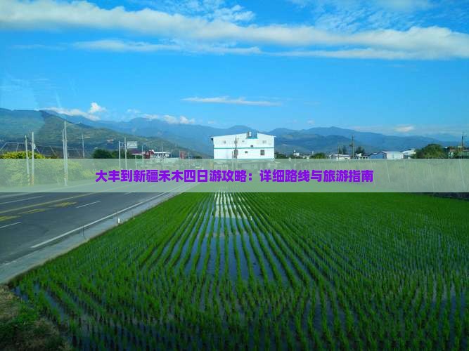 大丰到新疆禾木四日游