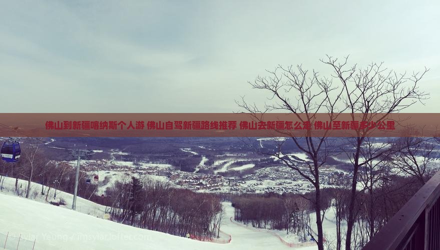 佛山到新疆喀纳斯个人游