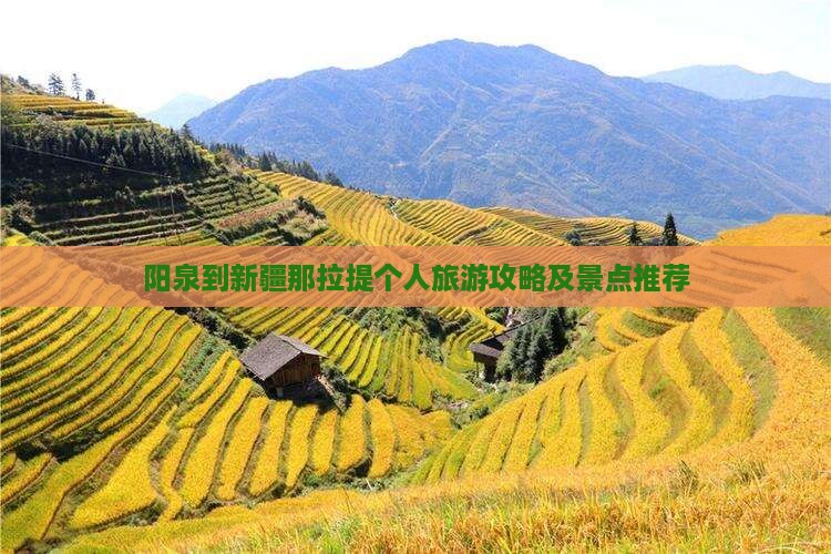 阳泉到新疆那拉提个人游