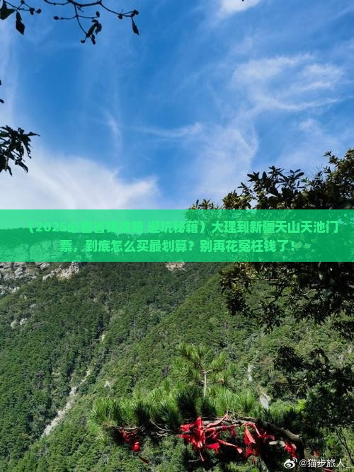 大理到新疆天山天池门票