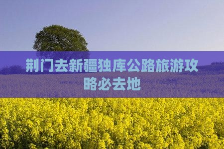 荆门去新疆独库公路必去地