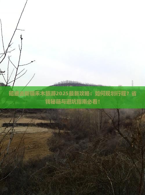 昭通去新疆禾木旅游