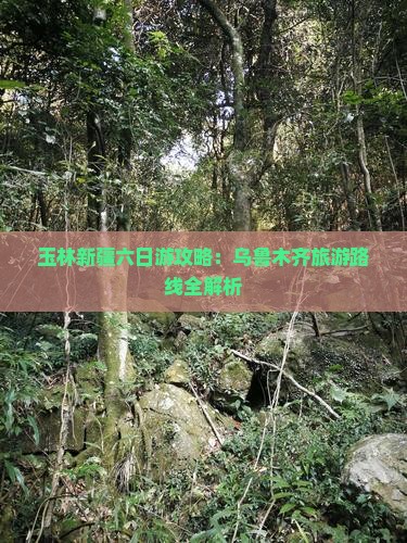 玉林去新疆乌鲁木齐六日游