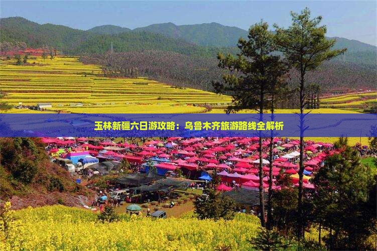 玉林去新疆乌鲁木齐六日游