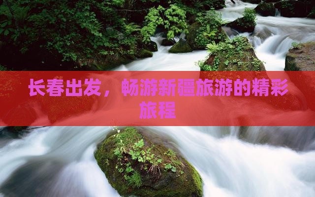 长春到新疆团体旅游