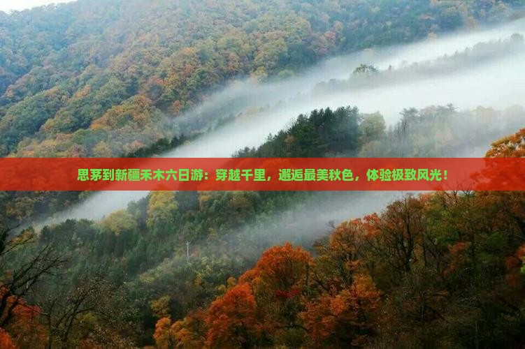 思茅到新疆禾木六日游