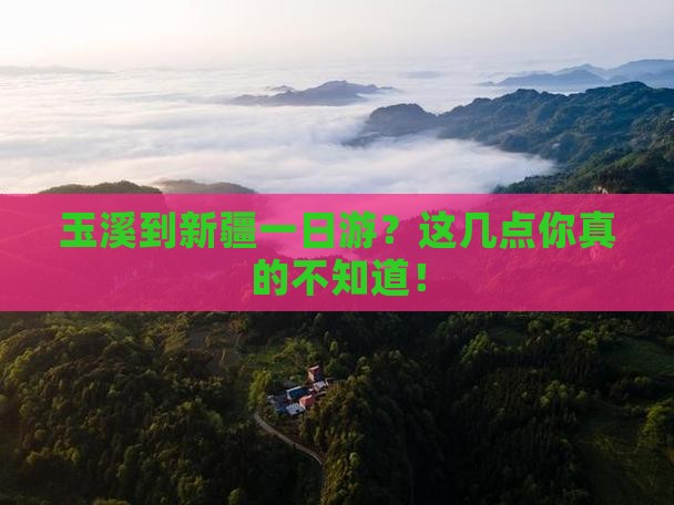 玉溪到新疆一日