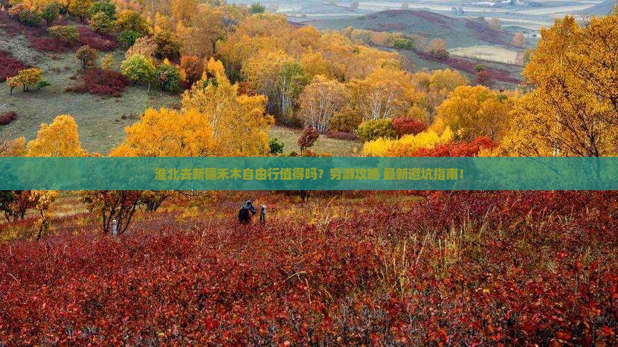 淮北去新疆禾木自由行