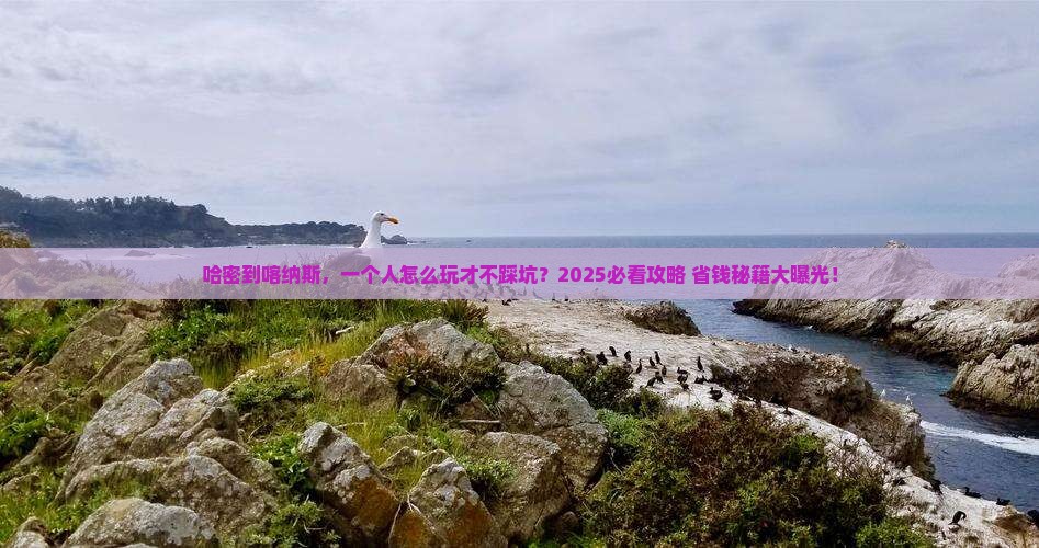 哈密到新疆喀纳斯个人游