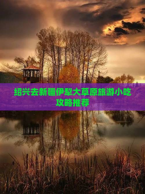 绍兴去新疆伊犁大草原旅游小吃