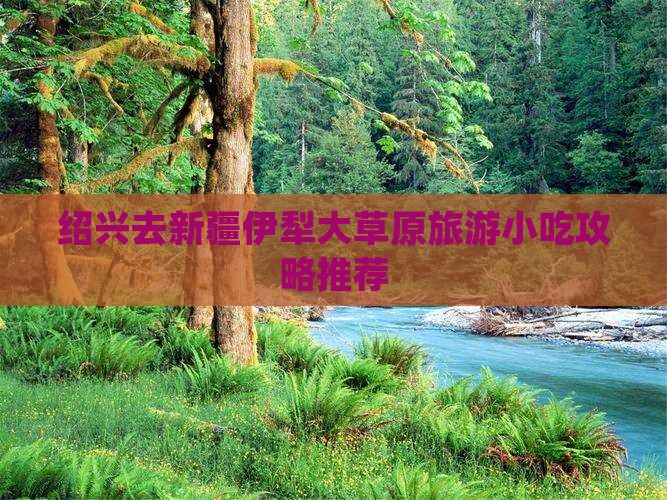 绍兴去新疆伊犁大草原旅游小吃