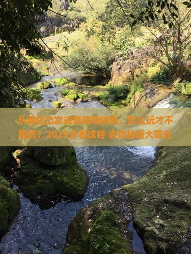通化去新疆喀纳斯哪里玩