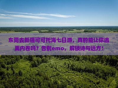东莞去新疆可可托海七日游