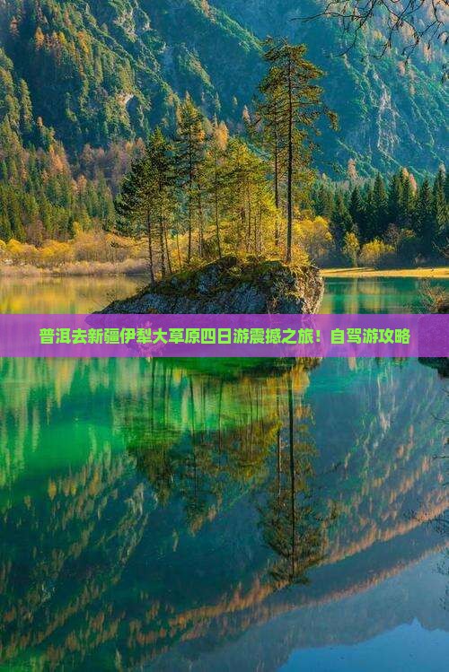 普洱去新疆伊犁大草原四日游
