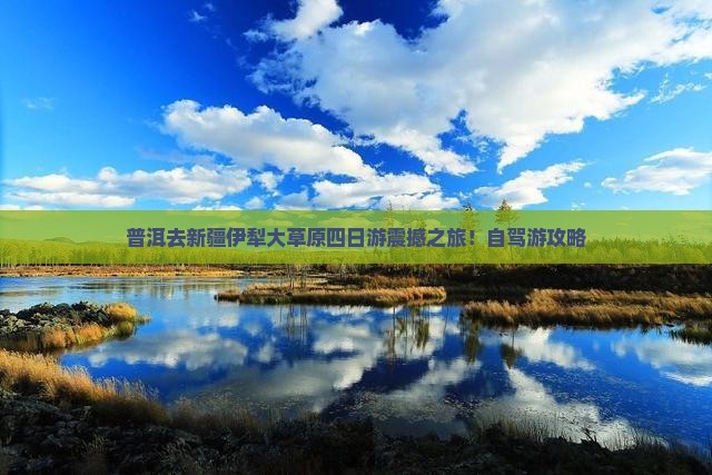 普洱去新疆伊犁大草原四日游