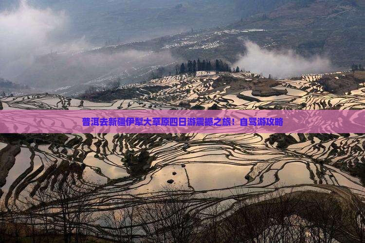 普洱去新疆伊犁大草原四日游