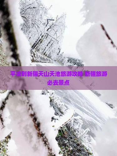 平凉到新疆天山天池旅行社
